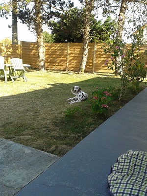 Kimba-Atlanta-Livi-4